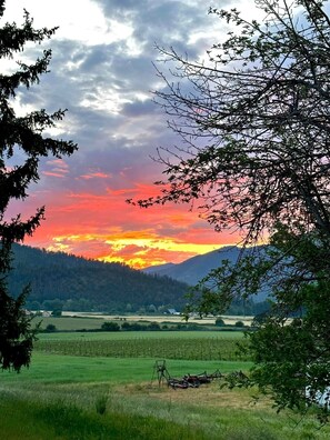 المنطقة المحيطة بالمنشأة