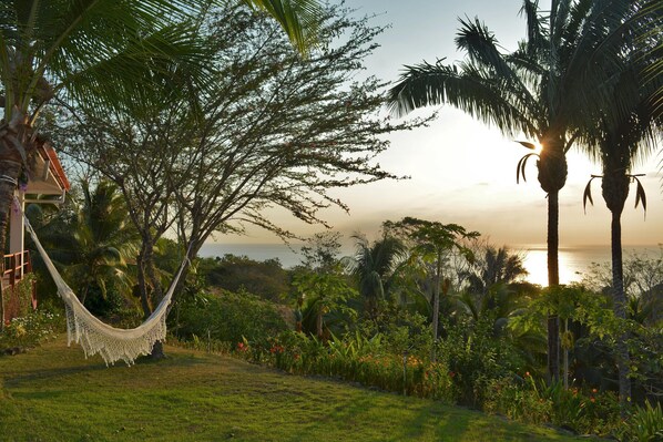 Studio | 3 bedrooms - Splendid Serviced Guest House Ocean View Montezuma (Cóbano)