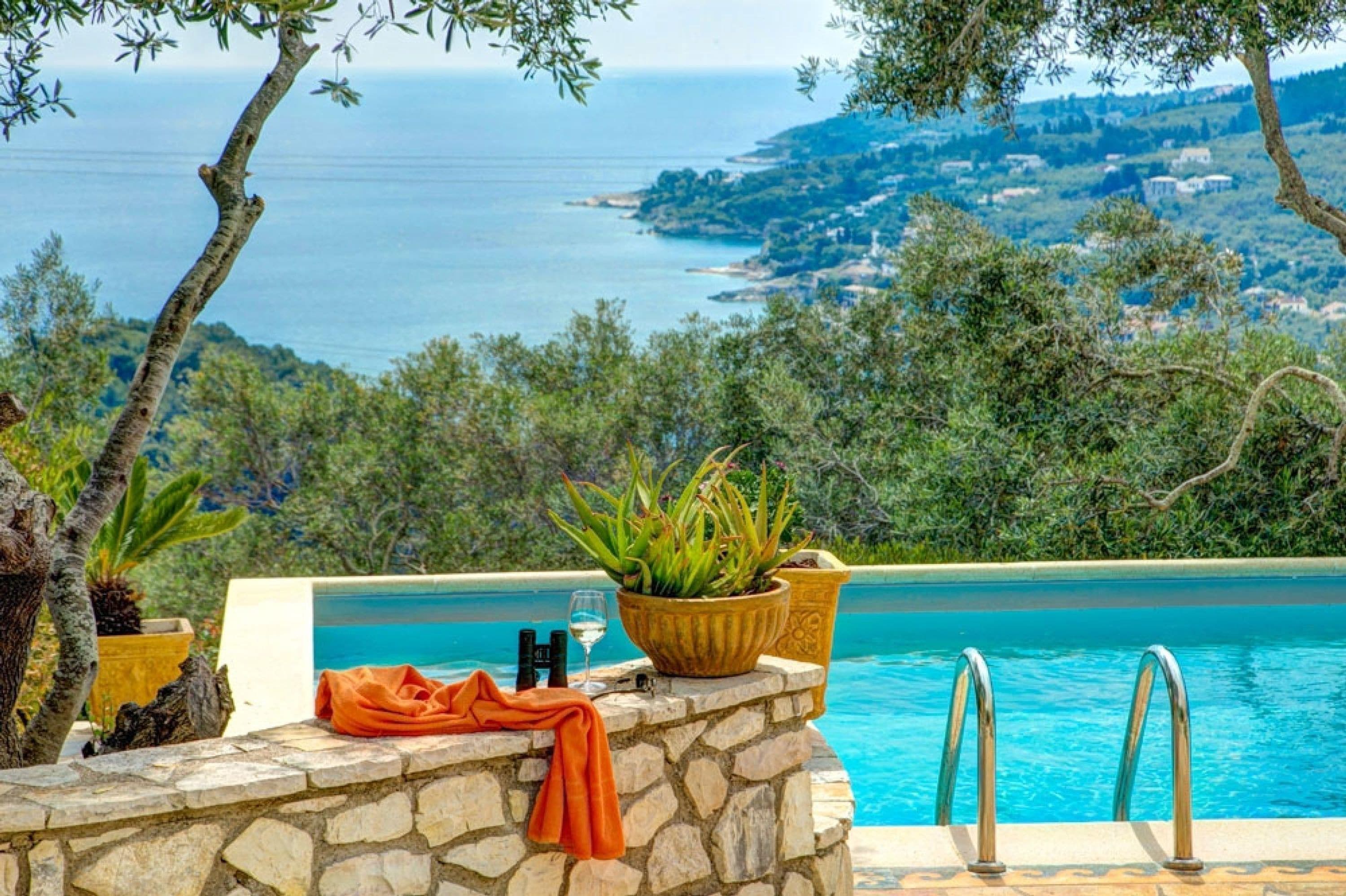 A poolside area with a stone wall, a potted plant, and a glass of water.