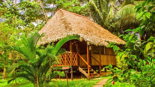 A thatched-roof hut with a wooden staircase leading to a porch, surrounded by lush greenery and a stone pathway. - Pokakempi Tours (Tambopata)