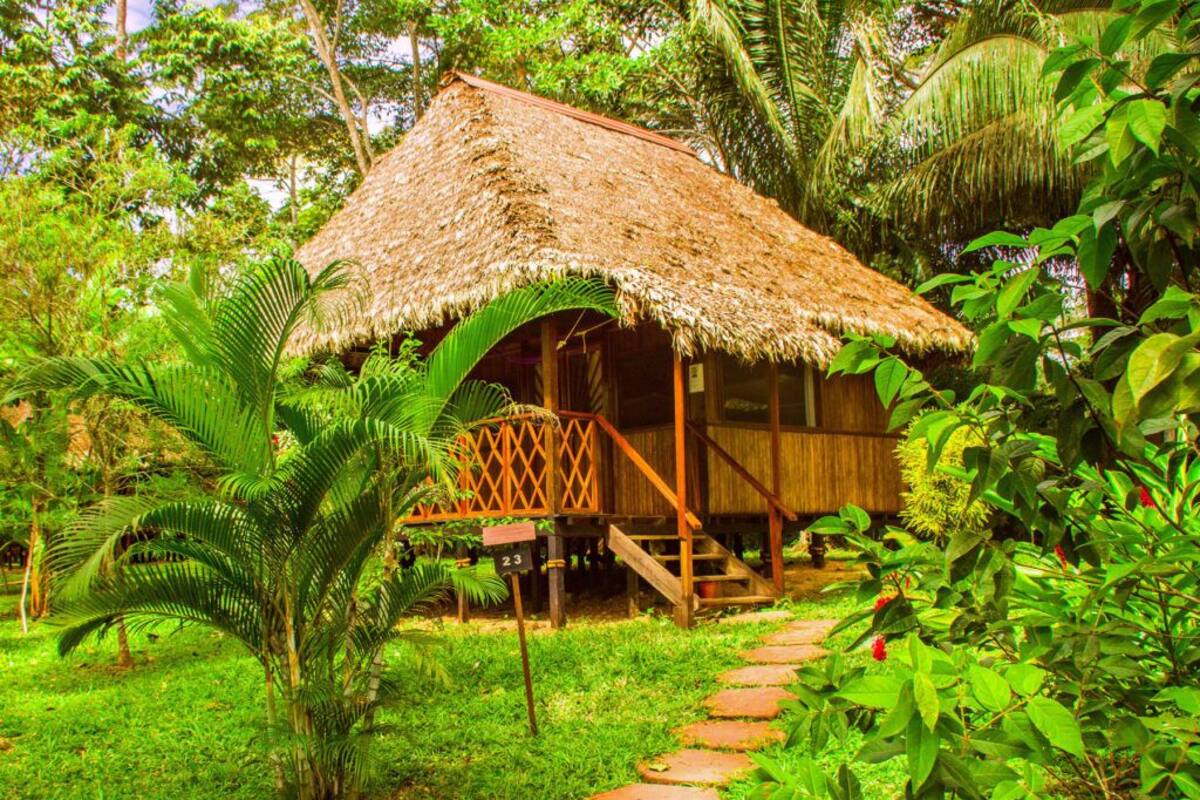 A thatched-roof hut with a wooden staircase leading to a porch, surrounded by lush greenery and a stone pathway.