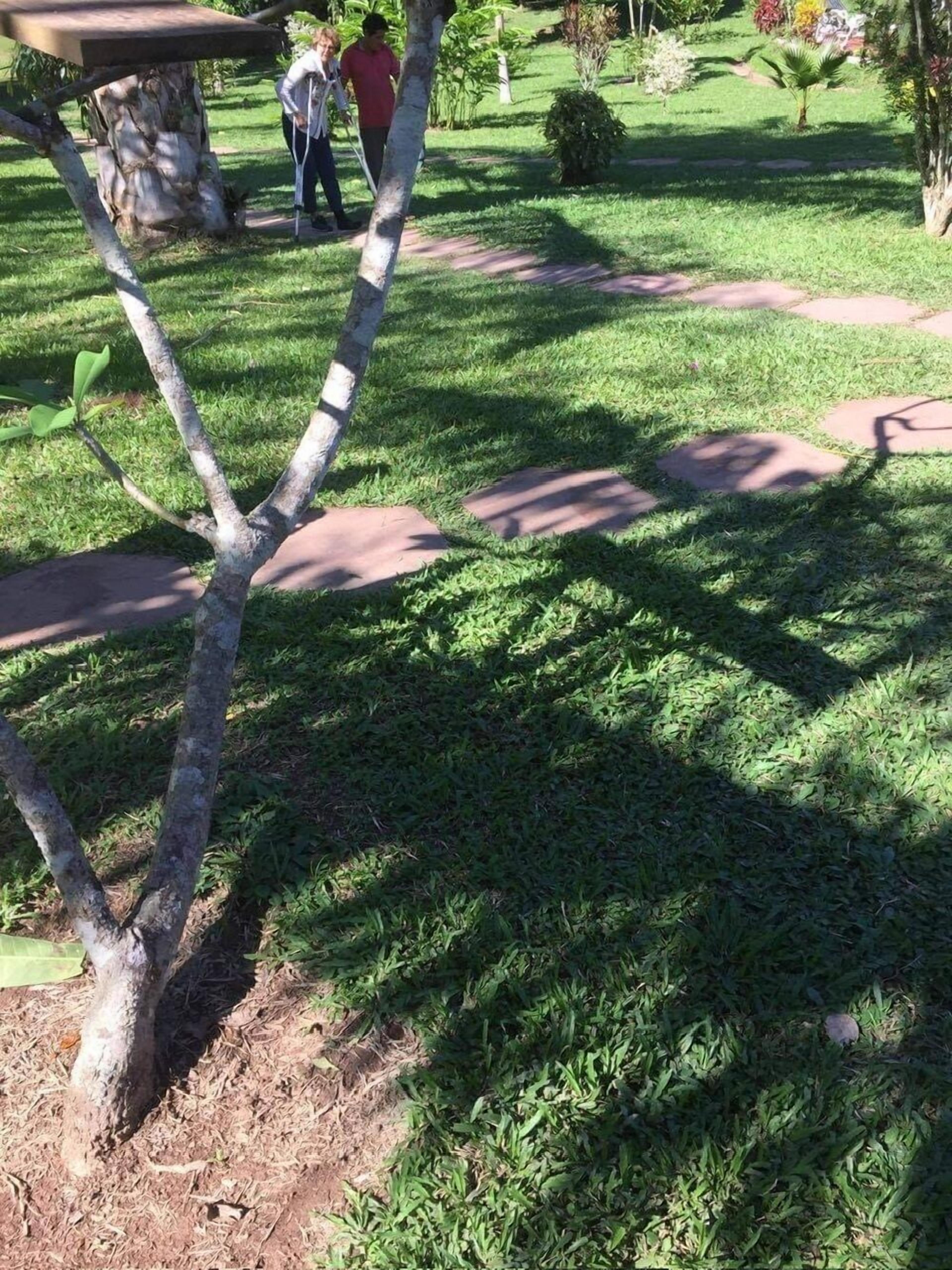 Jardim bem cuidado com diversas plantas e um caminho de pedra.