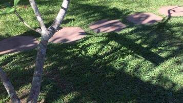 Jardim bem cuidado com diversas plantas e um caminho de pedra.