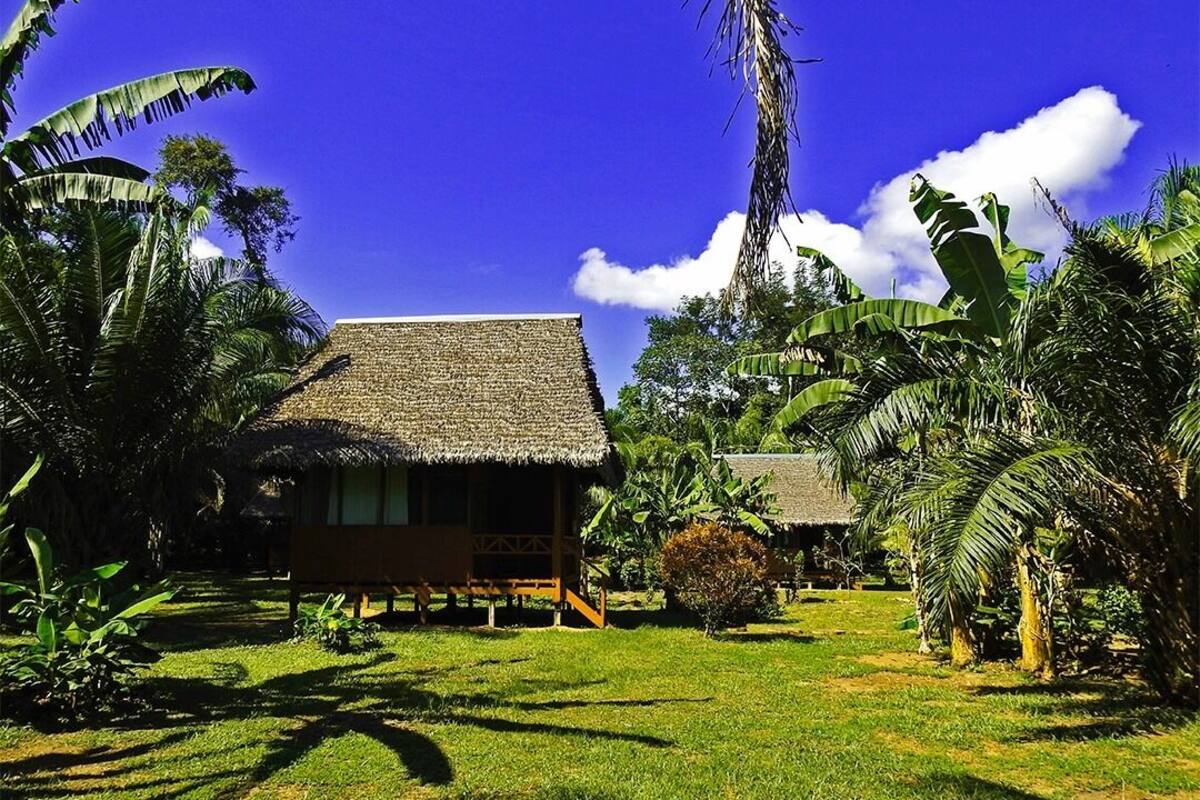 A thatched-roof hut with a wooden deck, surrounded by lush tropical vegetation.