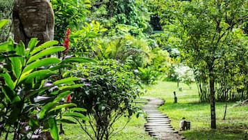 Basic Double Room | Land view from property