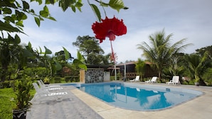 A swimming pool with lounge chairs, surrounded by greenery and a stone wall. - Pokakempi Tours (Tambopata)