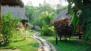 A pathway leading through a lush garden with thatched-roof structures. - Pokakempi Tours (Tambopata)