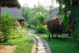 Vista desde la propiedad