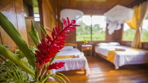 A wooden room with two beds, a nightstand, and a window with curtains. - Pokakempi Tours (Tambopata)