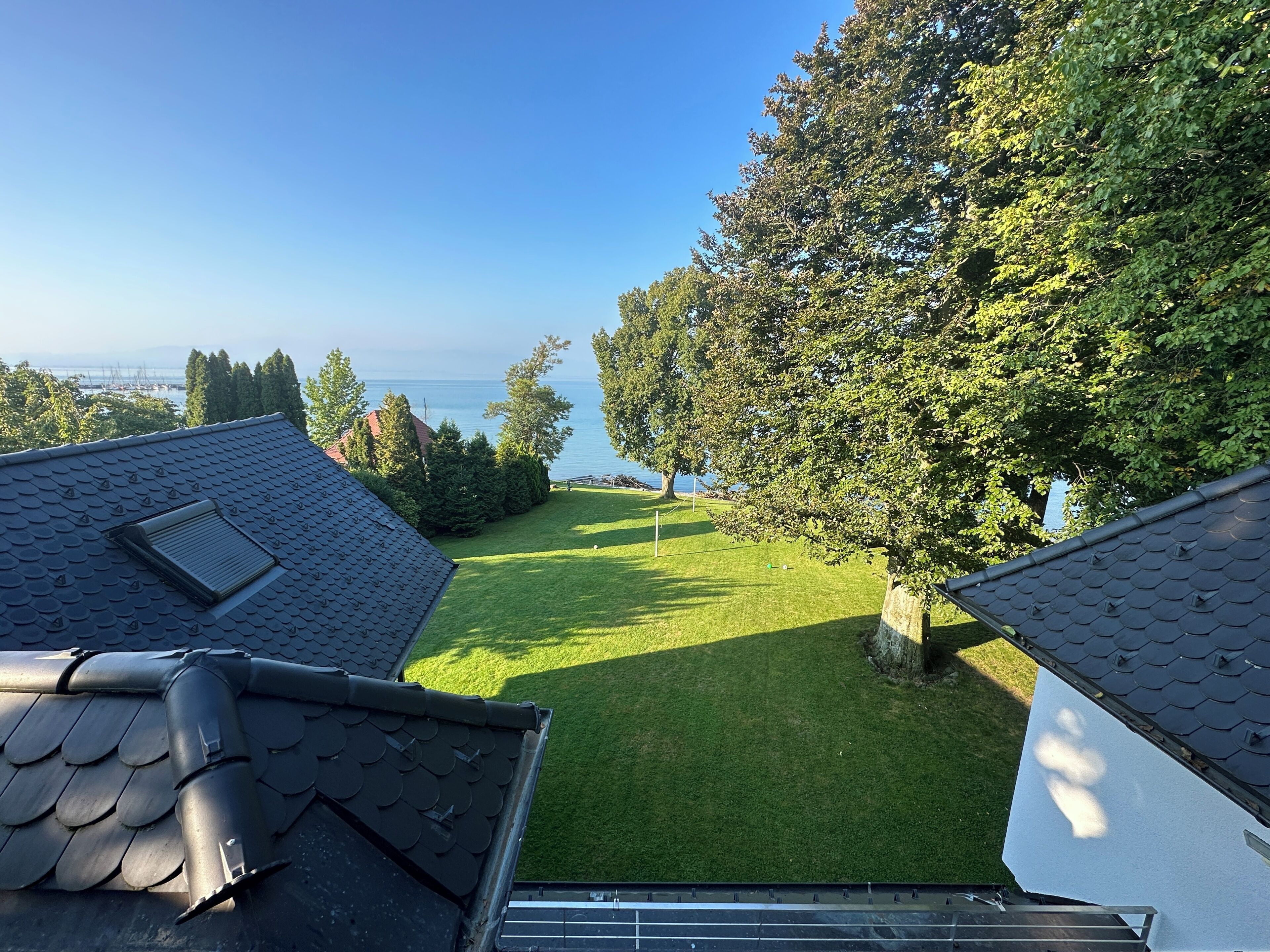 A rooftop view with a grassy yard, a large tree, and a body of water in the distance.