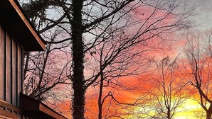 Une cabane offrant une vue sur le coucher de soleil à travers les arbres.
