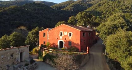 Preciosa Masía en medio del Parque Natural Montnegre i Corredor