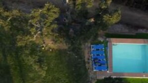 Vue aérienne d’une piscine rectangulaire entourée de verdure.