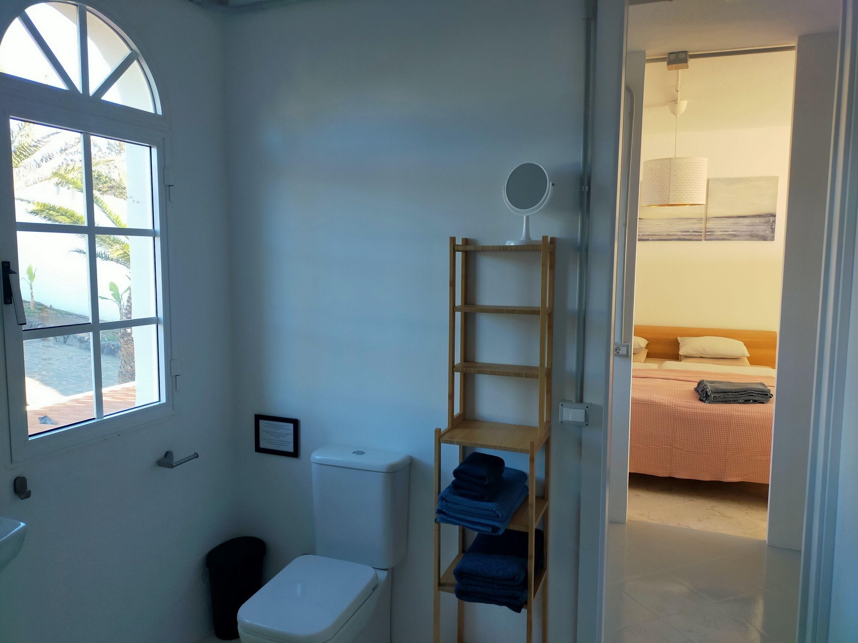 A bathroom with a toilet, sink, and a window with a view of palm trees.