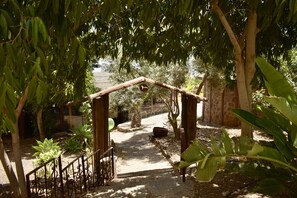 Property grounds - Beautiful and spacious penthouse on a finca (Agüimes)