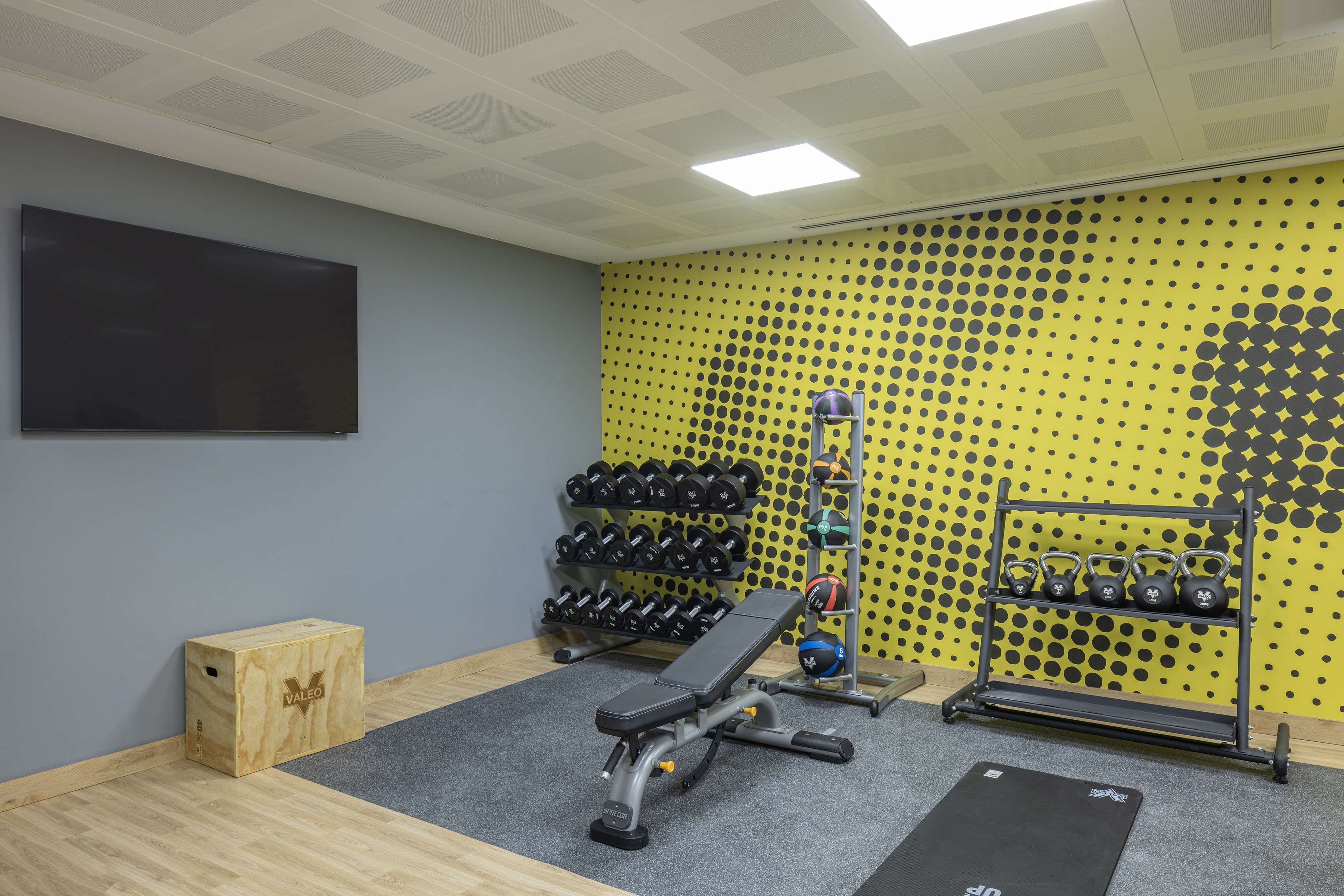 A gym with a bench, dumbbells, kettlebells, and a yoga mat.