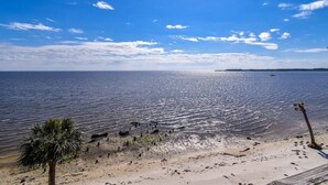 A beach with clear skies and calm waters. - Fenimore Mill 2D - High Tide By the Gulf! (Cedar Key)