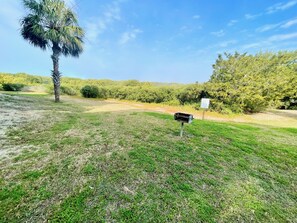 A mailbox in a grassy field with a palm tree and dense shrubbery in the background. - Fenimore Mill 2D - High Tide By the Gulf! (Cedar Key)