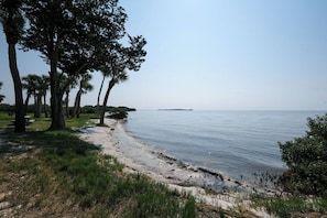 Ein Strand mit Bäumen und ruhiger See.