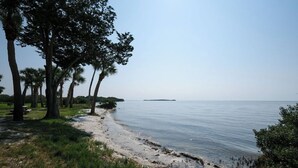 A beach with trees and a calm sea. - Fenimore Mill 4B - Pool, Hot Tub, Open Gulf View! (Cedar Key)