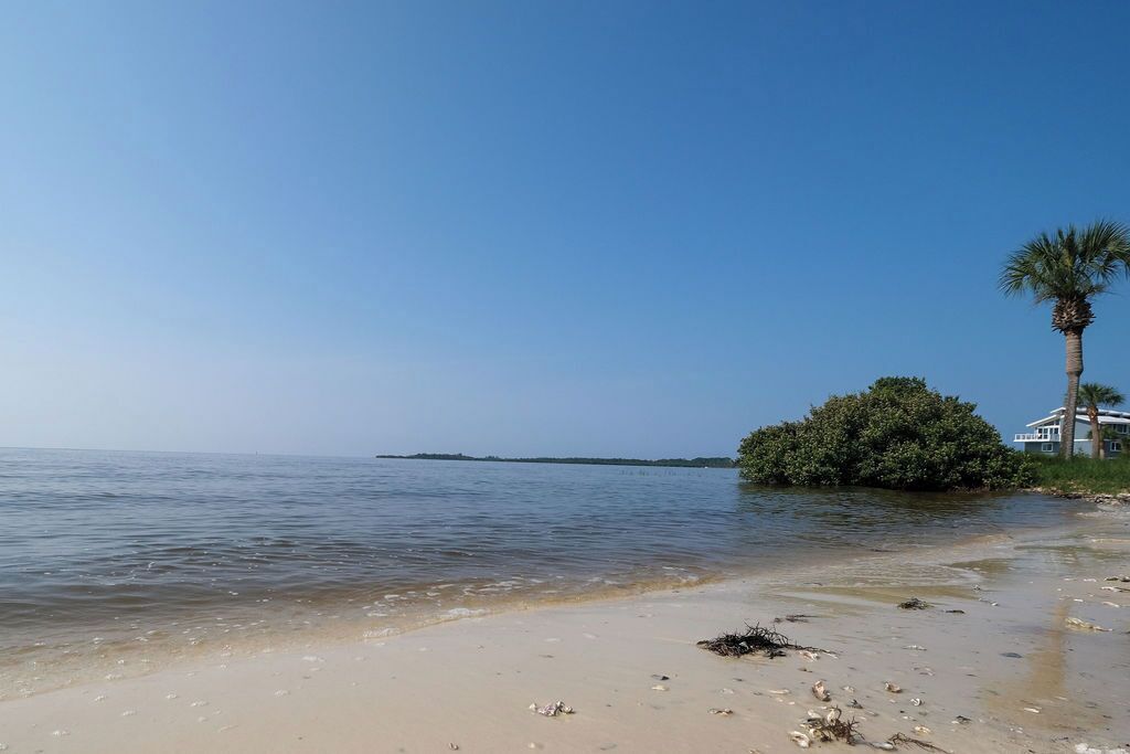 A beach with clear water, a palm tree, and a house in the background.