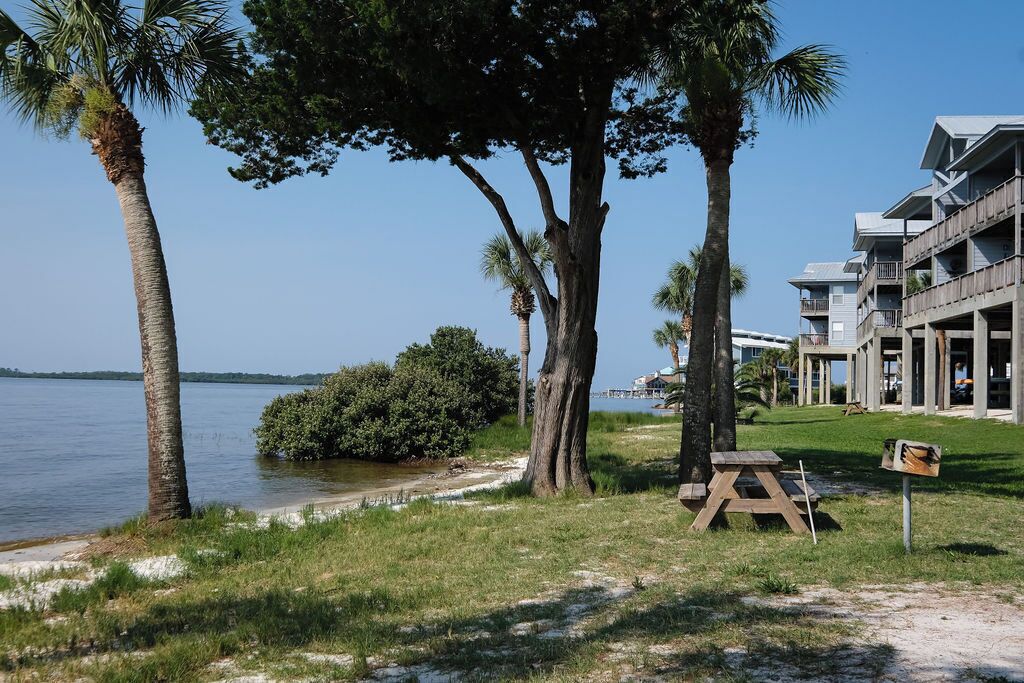 A beachfront hotel with a grassy area, a picnic table, and palm trees.