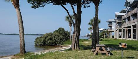 A beachfront hotel with a grassy area, a picnic table, and palm trees.