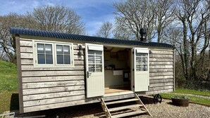 A small wooden cabin with a metal roof, a kitchen area visible through an open door, and a gravel ground.
