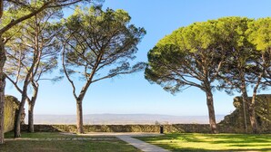Un sentier qui traverse une zone herbeuse, bordée d’arbres et d’un mur de pierre, et d’où l’on peut admirer des montagnes lointaines.