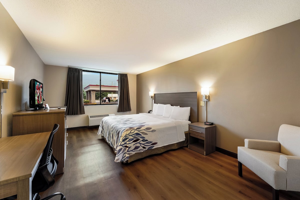 A hotel room with a bed, bedside table, lamp, chair, desk, and a view of the outside.