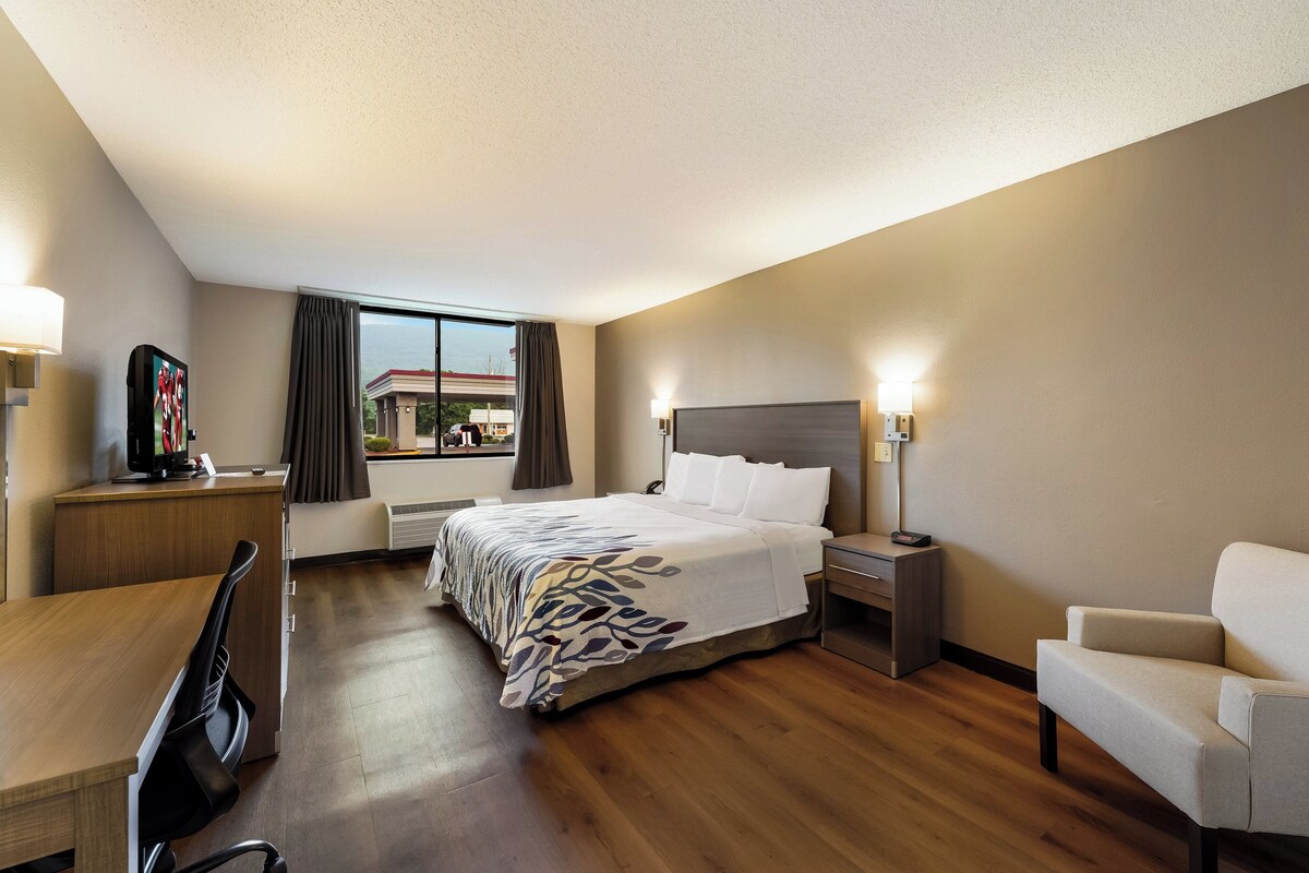 A hotel room with a bed, bedside table, lamp, chair, desk, and a view of the outside.