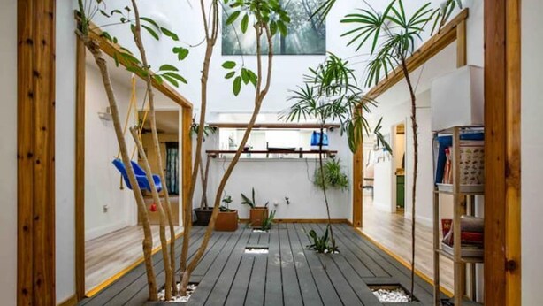 A compact, open-plan living space with a wooden floor, potted plants, and a bookshelf. - Luxurious Tree House (Lubbock)