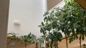 A spacious indoor area with a wooden floor, several potted plants, and a staircase leading to an upper level. - Luxurious Tree House (Lubbock)