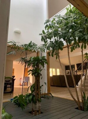 Interior - Luxurious Tree House (Lubbock)