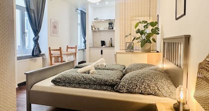Zentrum Apartmenthaus am Dom Plant Room