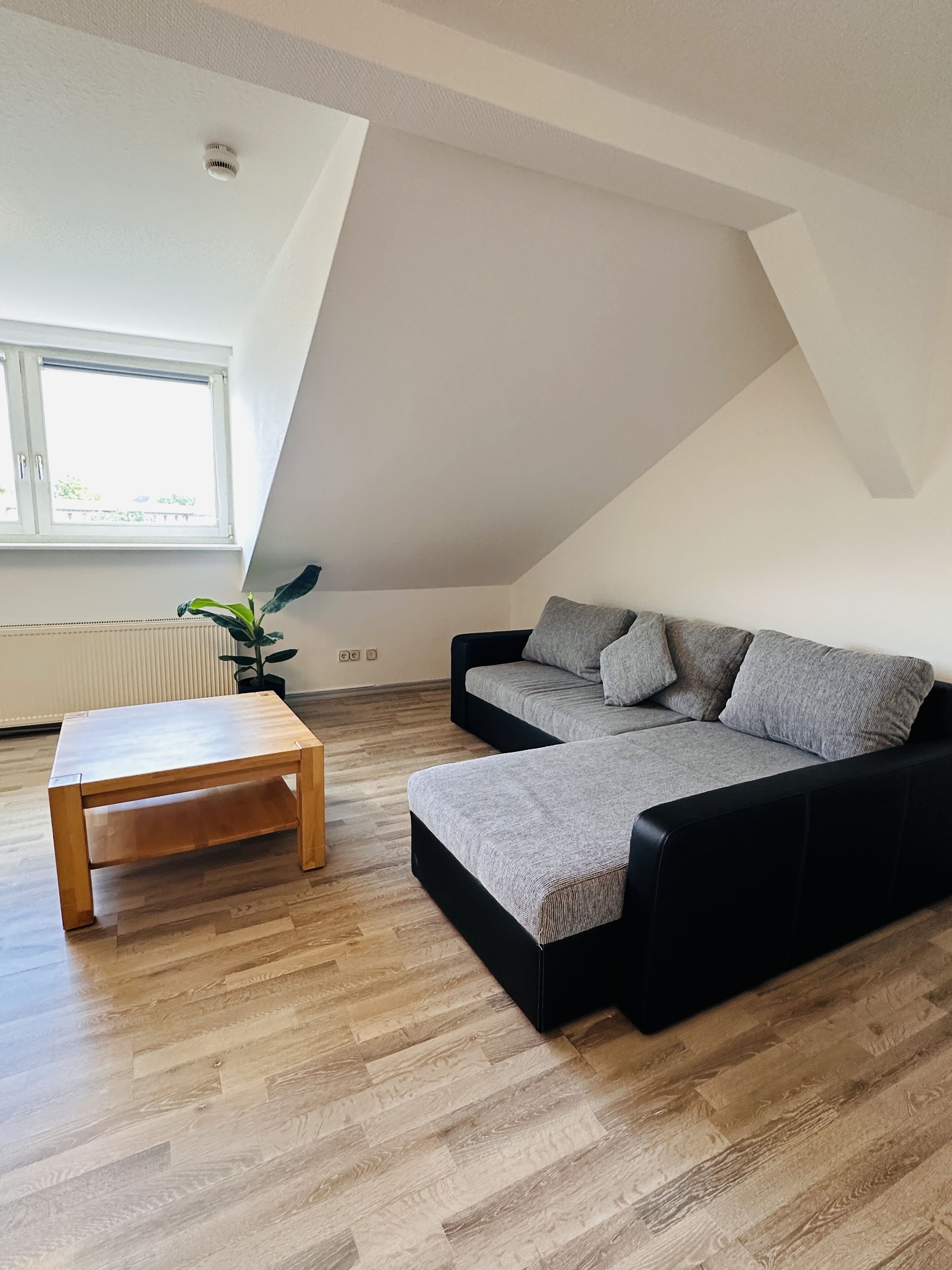 Photo - Apartmenthaus am Dom - Küche, Wifi, TV