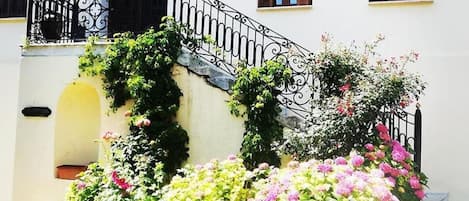 Suite | 1 slaapkamer