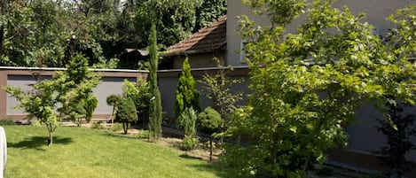 A residential property with a well-maintained lawn, a small tree, and a metal manhole cover.