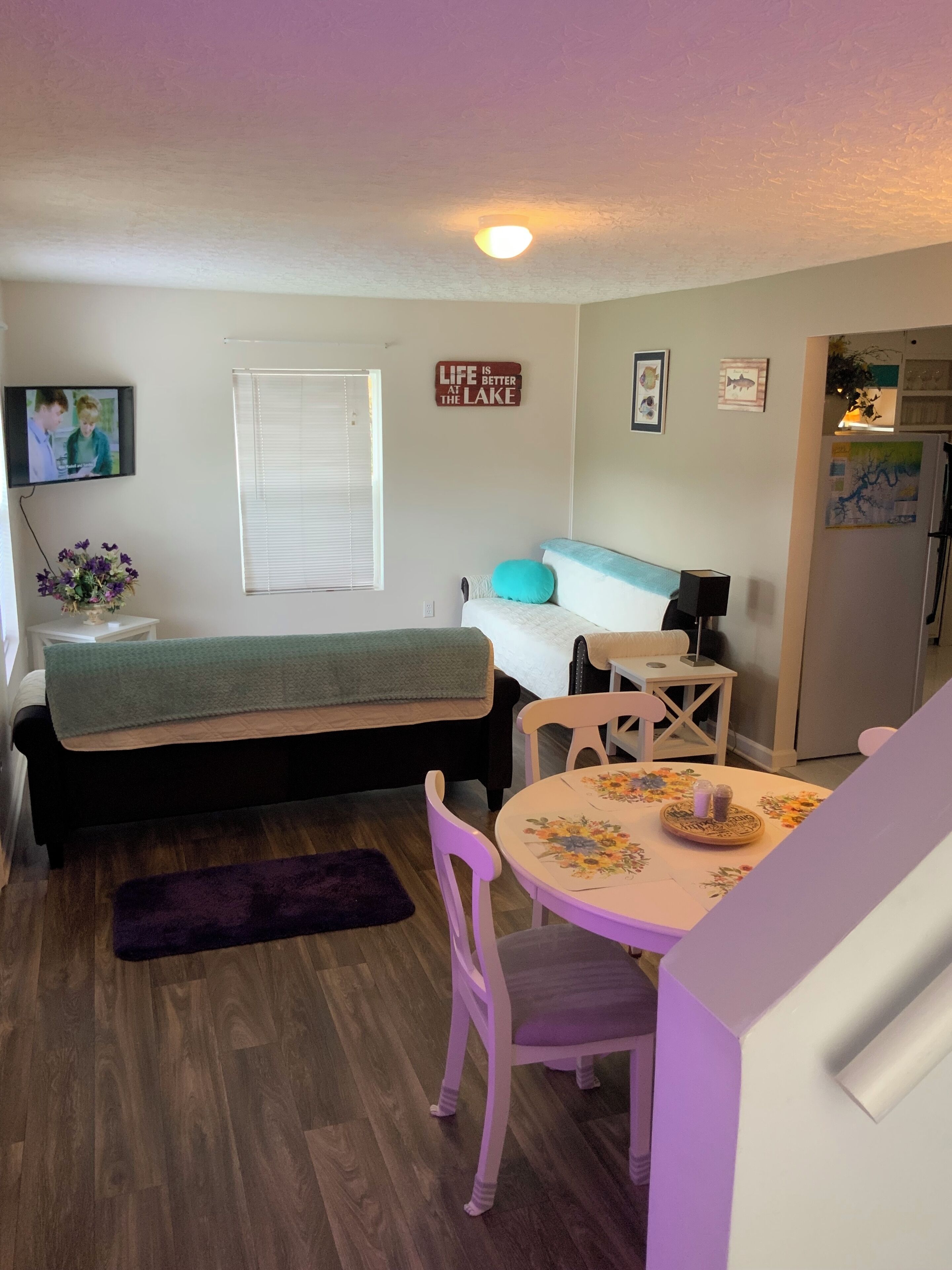 Smart TV, DVD player, video library