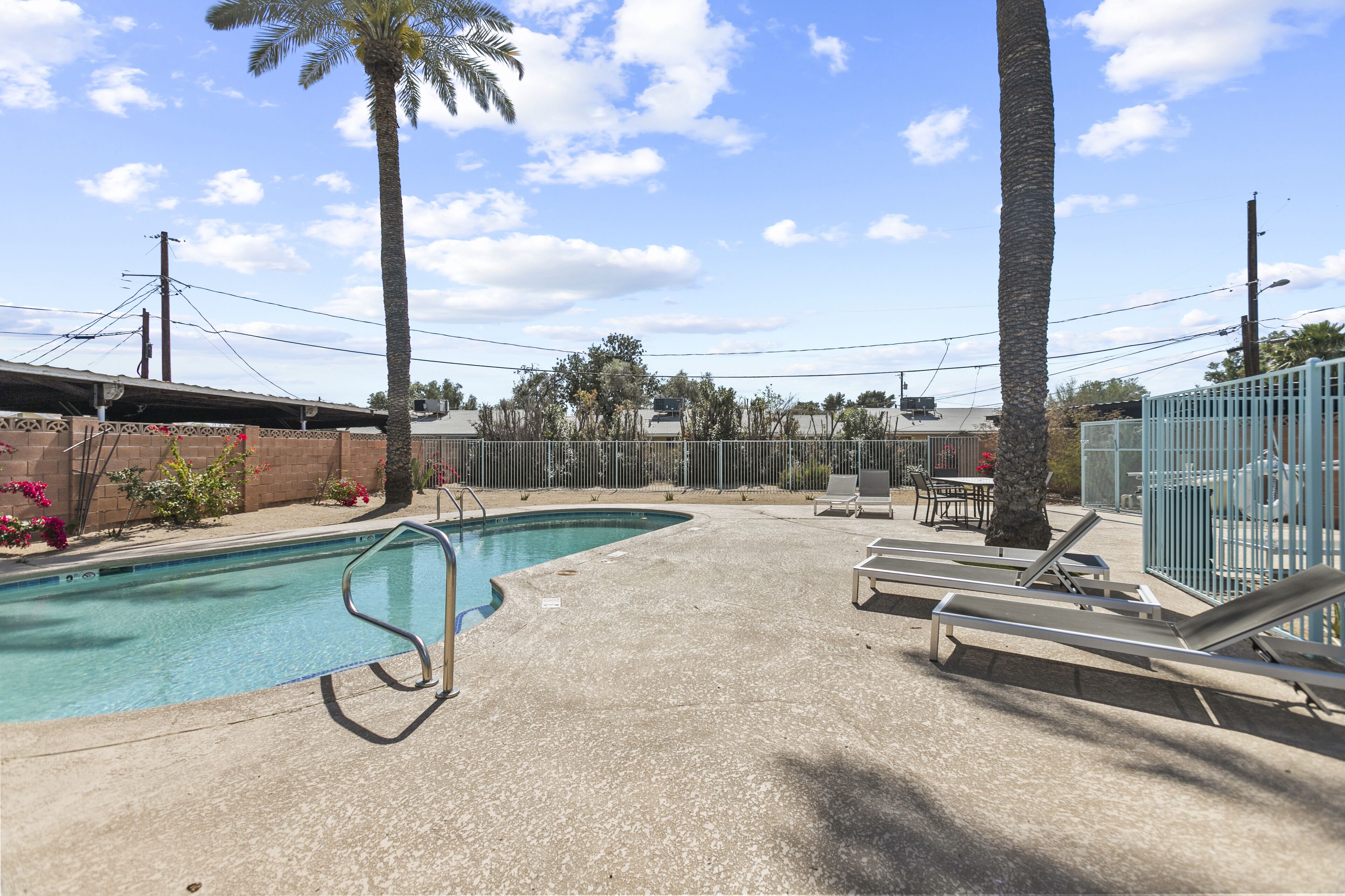 A swimming pool with lounge chairs and palm trees.