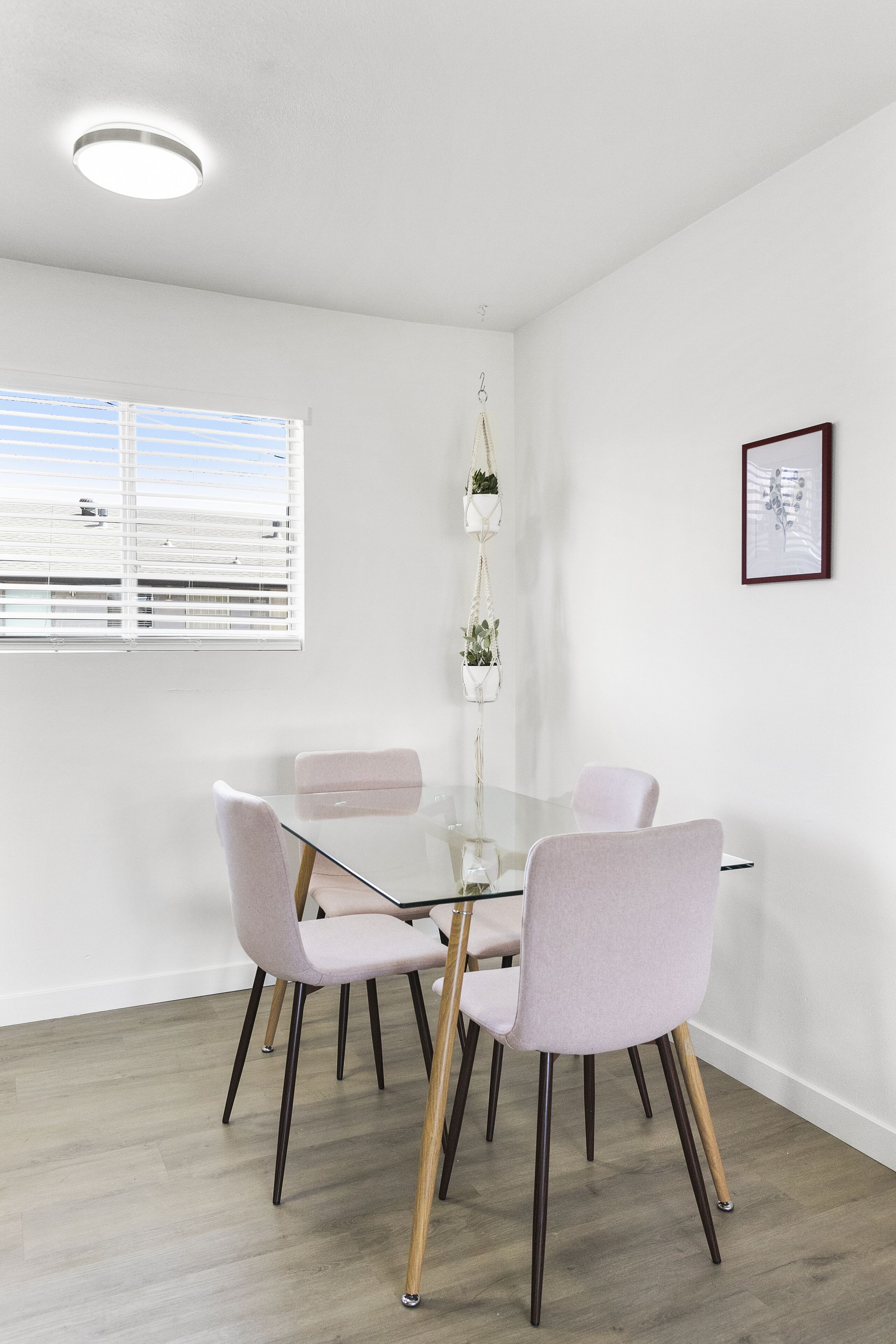 A modern dining area with a glass table, four chairs, a hanging plant, and a framed picture on the wall.