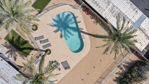 An aerial view of a swimming pool surrounded by palm trees and sun loungers. - Contemporary Condo in Central Biltmore (Phoenix)