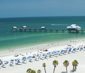 A beach with a pier, umbrellas, and palm trees. - Sunshine house - 10 min from the beach! (Clearwater)