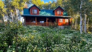 A log cabin with a porch and a green roof, surrounded by dense vegetation and trees. - Mountain Retreat | Fast Internet | Full Kitchen (Heber City)