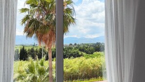 Een raam met witte gordijnen, uitzicht op een palmboom en een landschap met begroeiing en bergen.