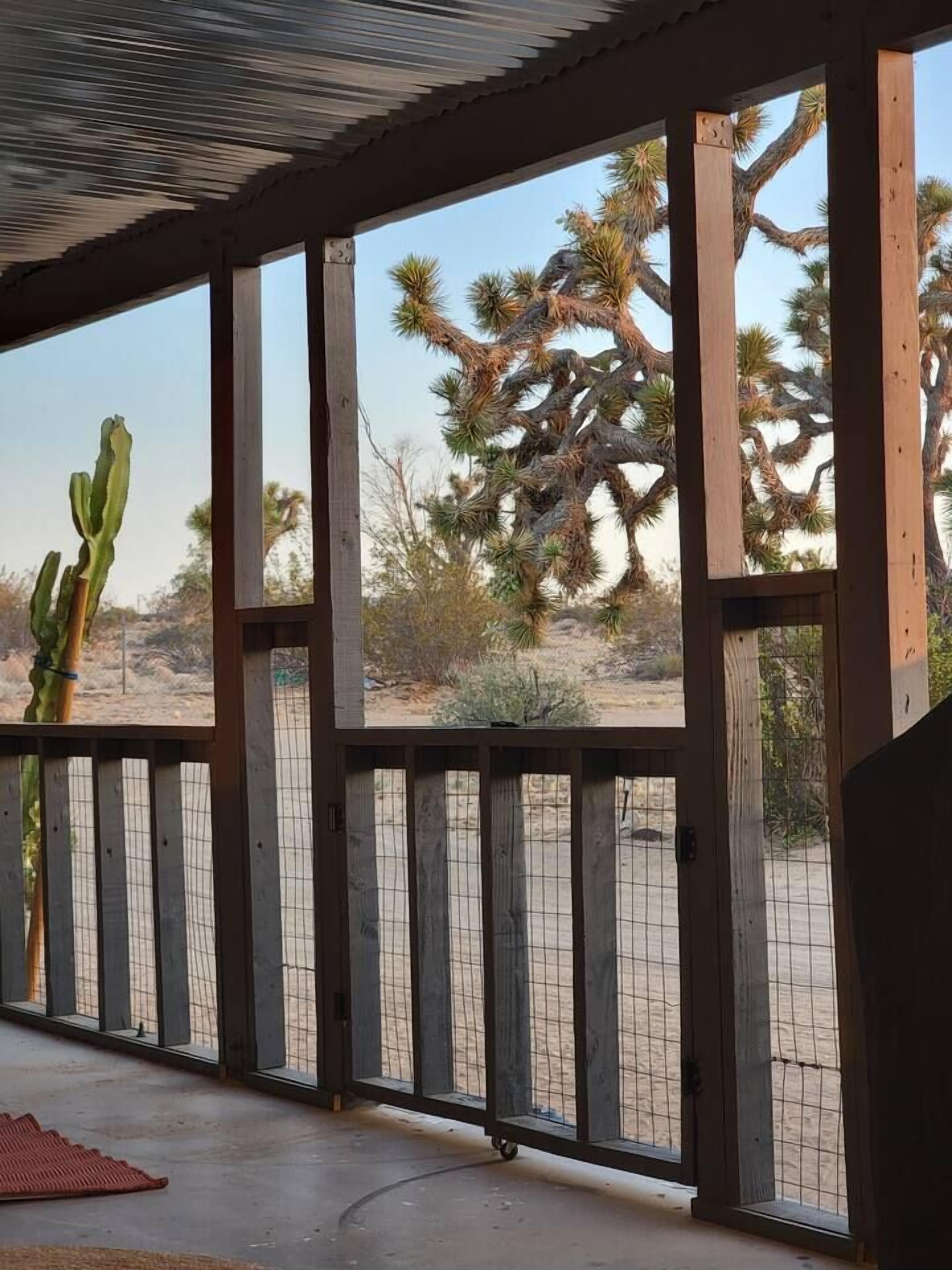 Een overdekt buitengebied met uitzicht op woesteinvegetatie, waaronder een cactus en Joshua-bomen.