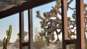 A covered outdoor area with a view of desert vegetation, including a cactus and Joshua trees.