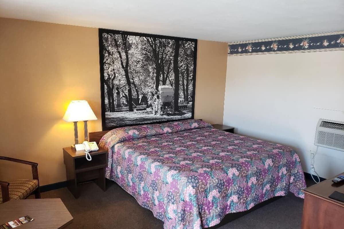 A hotel room with a bed, a nightstand with a lamp, a chair, a desk, and a large framed picture on the wall.