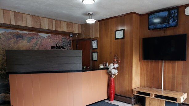 Una zona d'entrada amb un taulell de recepció de fusta, una càmera de seguretat penjada, un televisió de pantalla plana i un ram de flors seques.