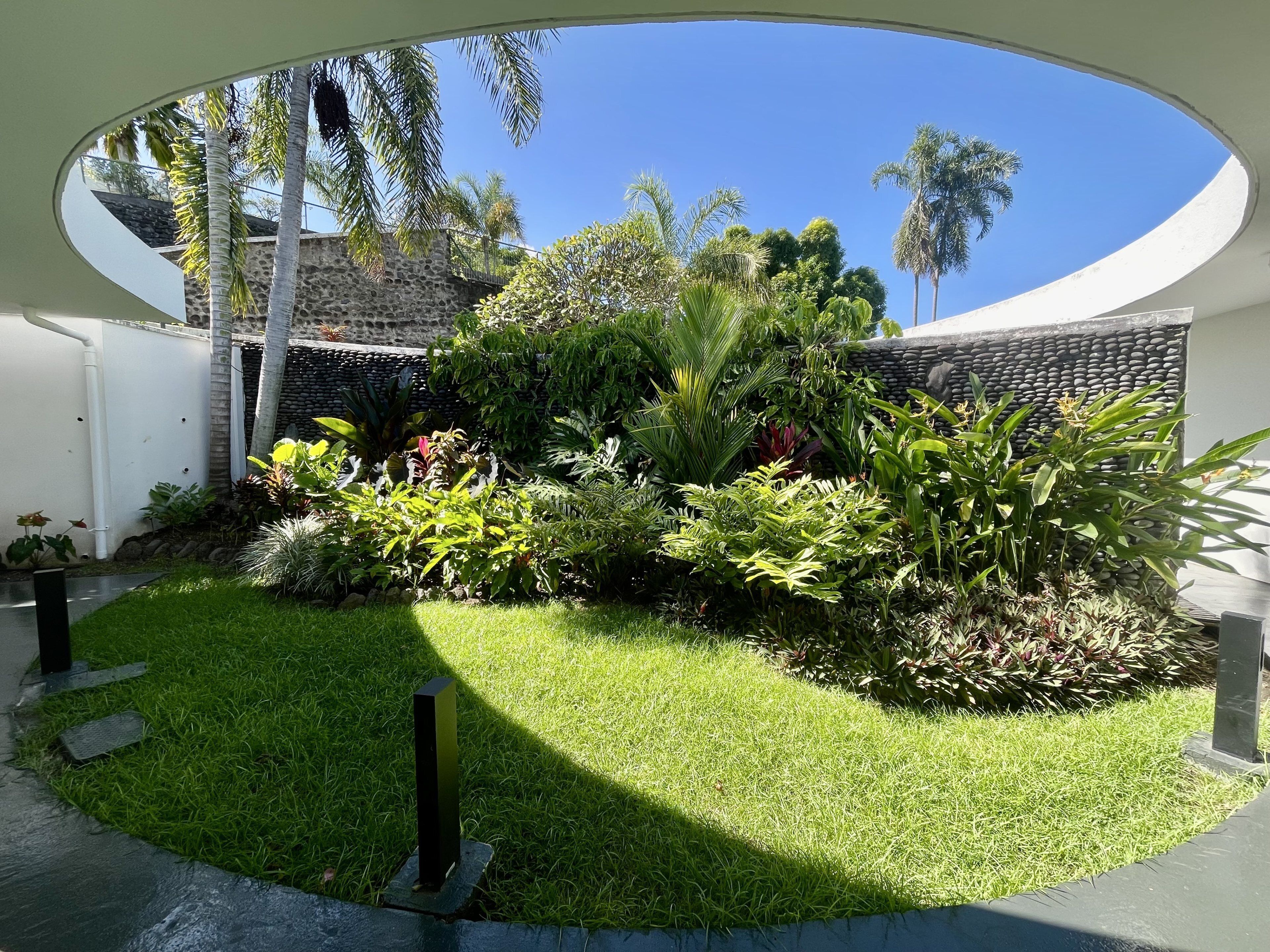 A well-maintained garden with various plants and a stone wall.